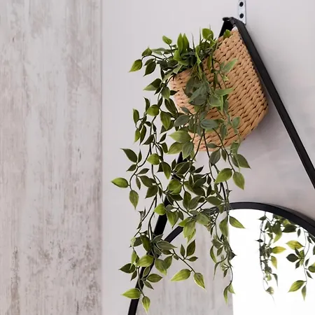 Appartement Mella Roa - Teal *